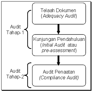 proses audit