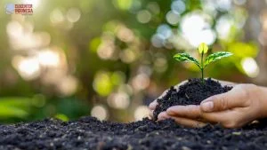 Manfaat sertifikasi ISO 14001 bagi produsen, adalah sebagai berikut: