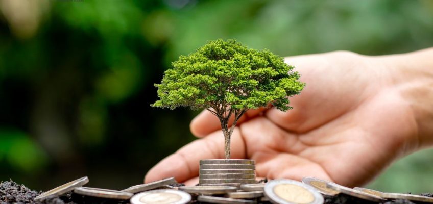 Pentingnya ISO 50001 untuk Keberlanjutan Lingkungan