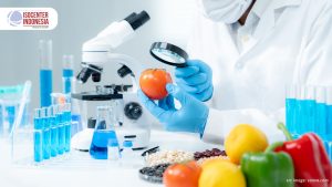 Prinsip dan Manfaat HACCP dalam Menjamin Keamanan Makanan yang Aman
